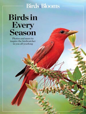 cover image of Birds & Blooms Birds in Every Season